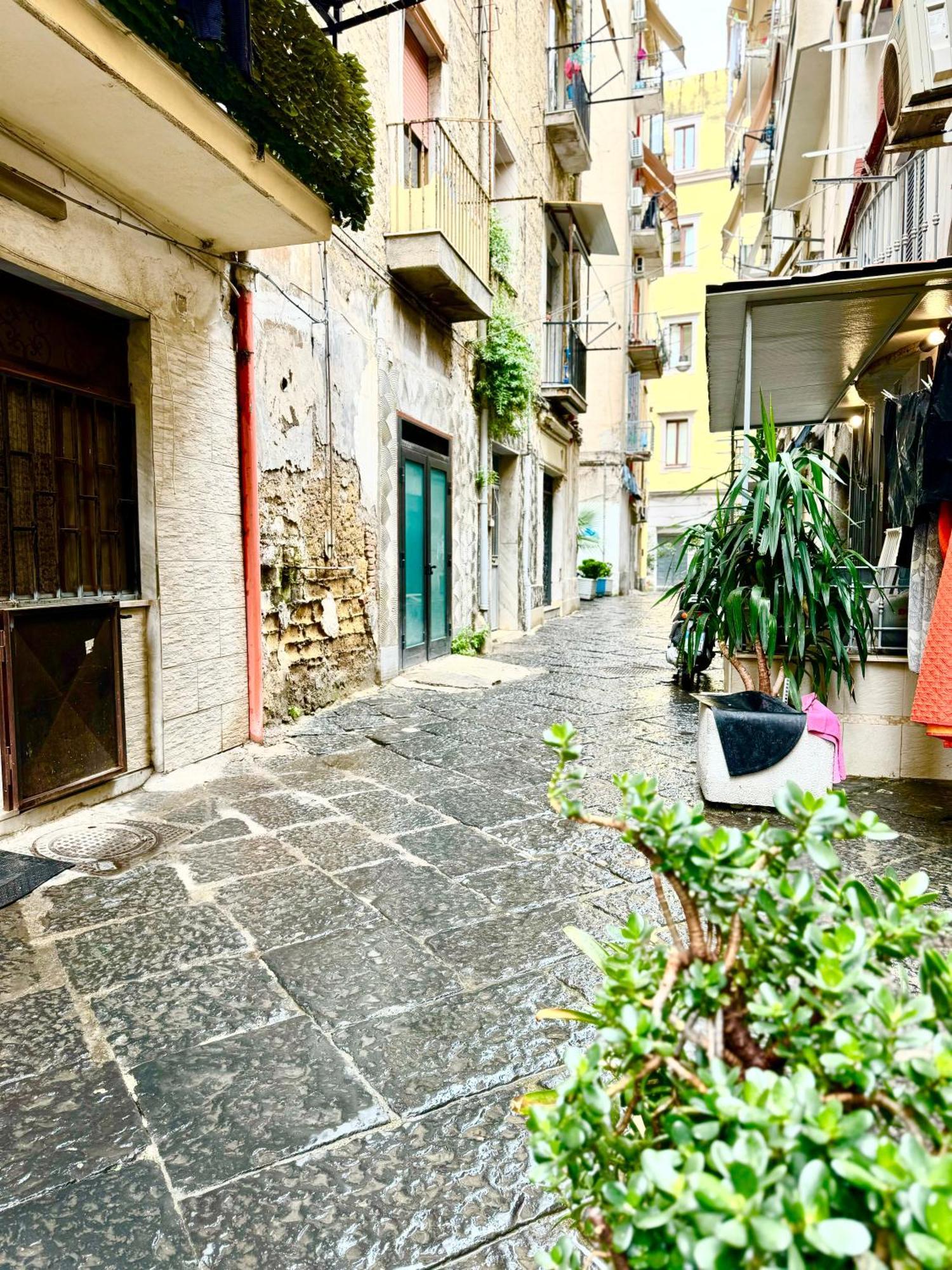 Vesuvius House Daire Napoli Dış mekan fotoğraf