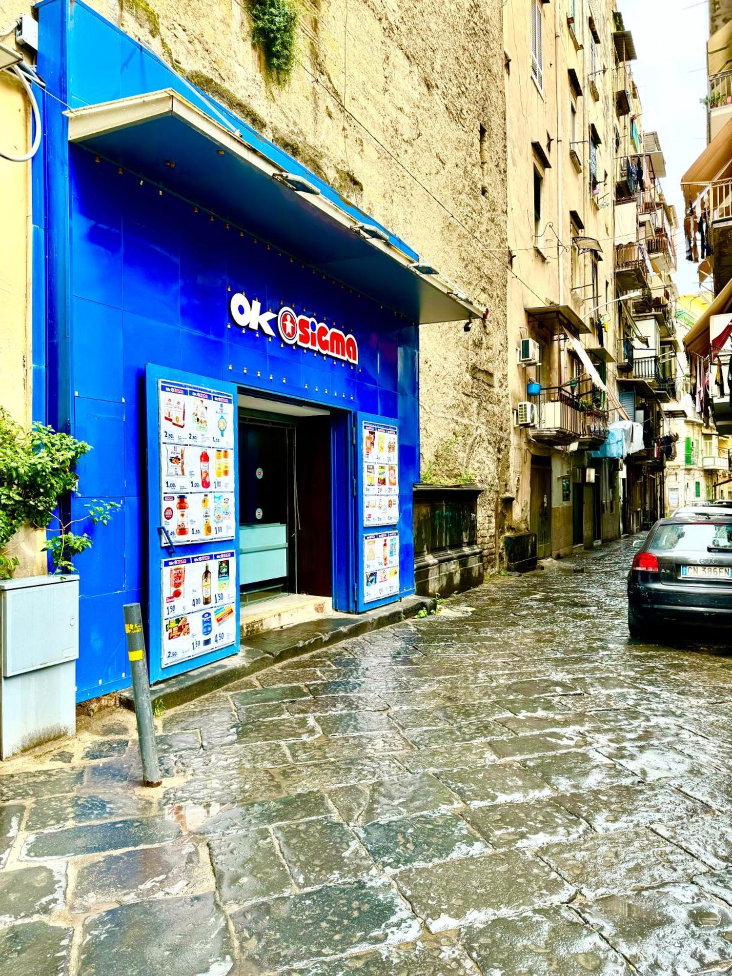 Vesuvius House Daire Napoli Dış mekan fotoğraf